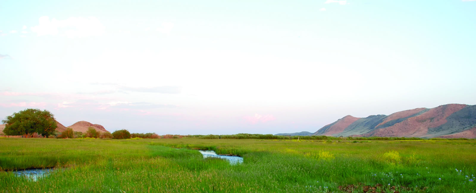 Saguache Chamber Business and Community Development Saguache